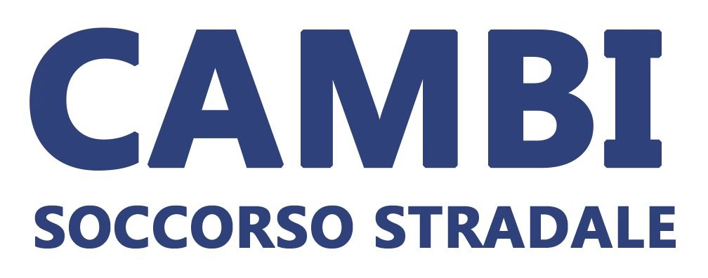 Logo sponsor